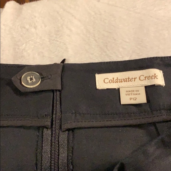 Coldwater Creek Double Cloth Pencil Skrt P12 NWT - Picture 4 of 6